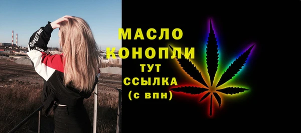 молекула духа Вяземский