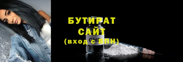 шишки Гусиноозёрск