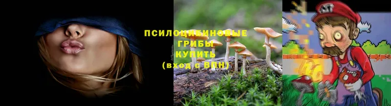 Галлюциногенные грибы Cubensis  Бугульма 