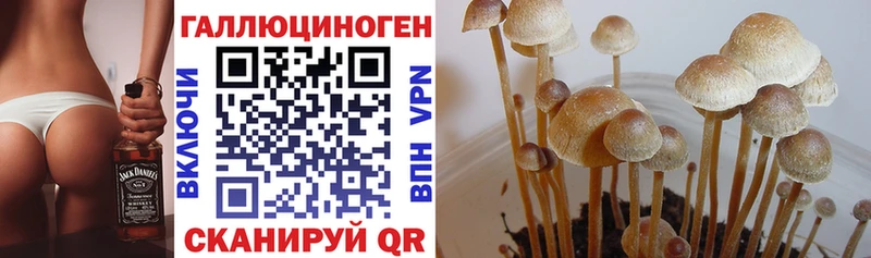 Галлюциногенные грибы прущие грибы  хочу наркоту  Бугульма 