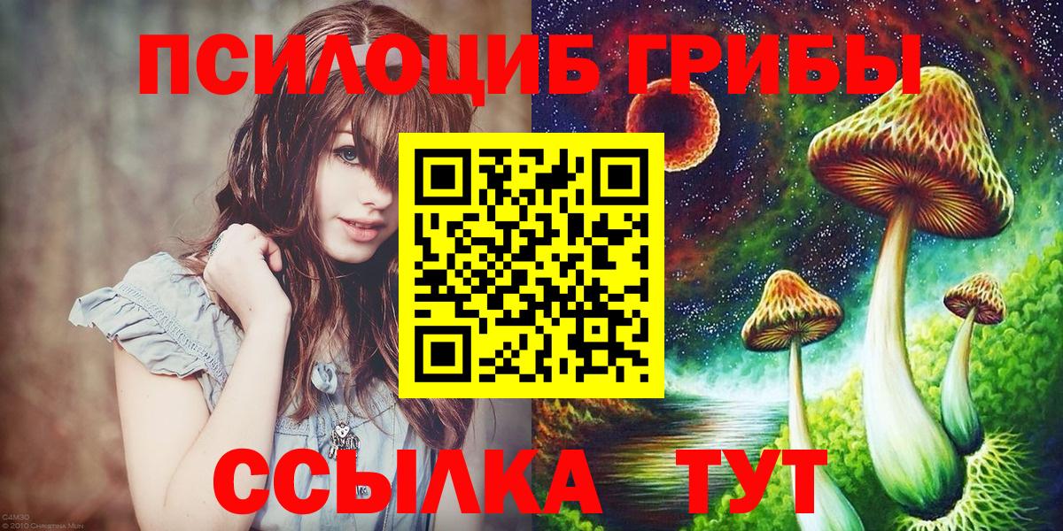 Псилоцибиновые грибы прущие грибы Бугульма