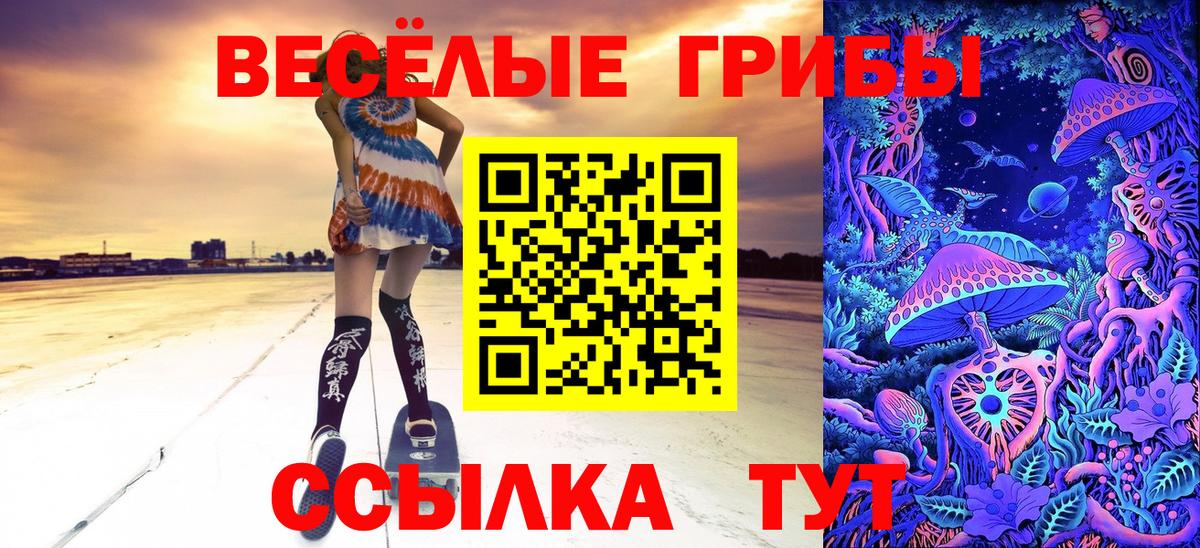 Псилоцибиновые грибы Magic Shrooms  Бугульма 